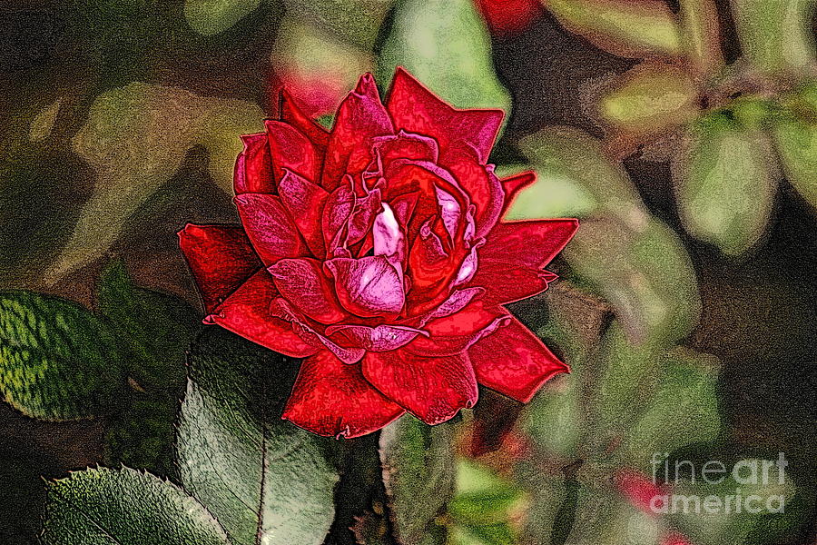 Rose Digital Sketch Photograph by Michael Hoard