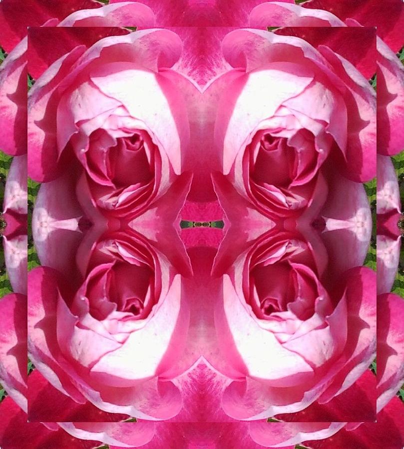 Rose Doubled up Photo Fractal Photograph by Julia Woodman