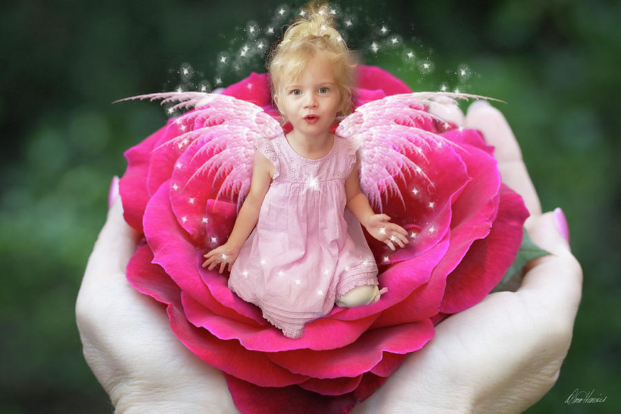 Rose Fairy Photograph by Diana Haronis