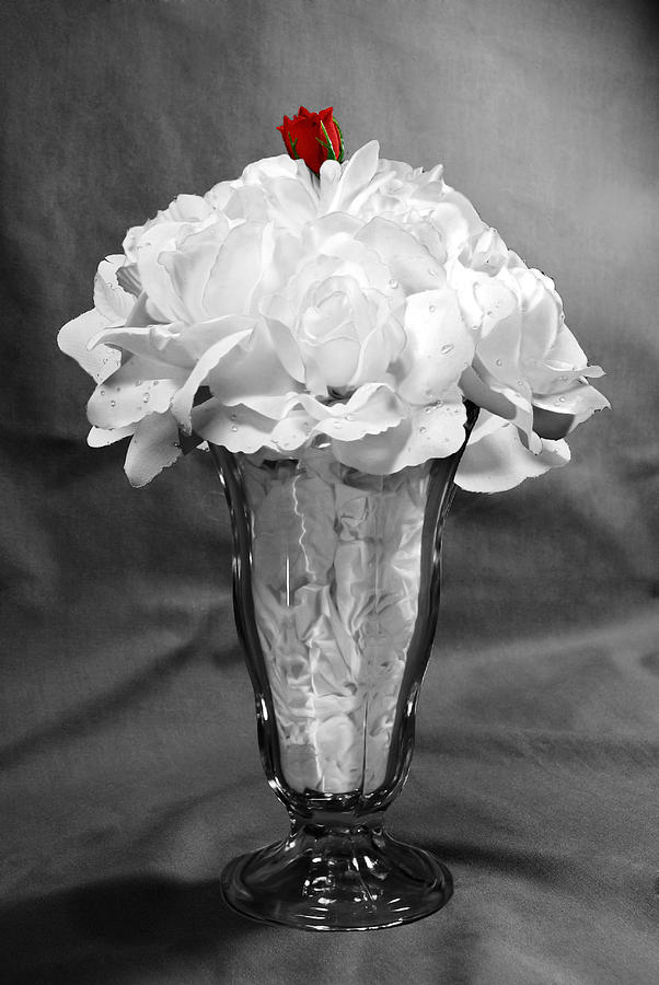 Rose Float BW Photograph by Frances Miller