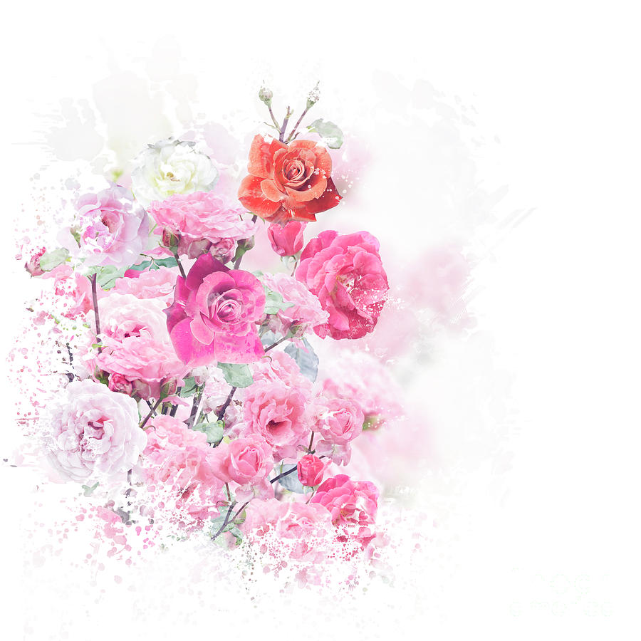 Rose flowers watercolor Digital Art by Svetlana Foote - Fine Art America