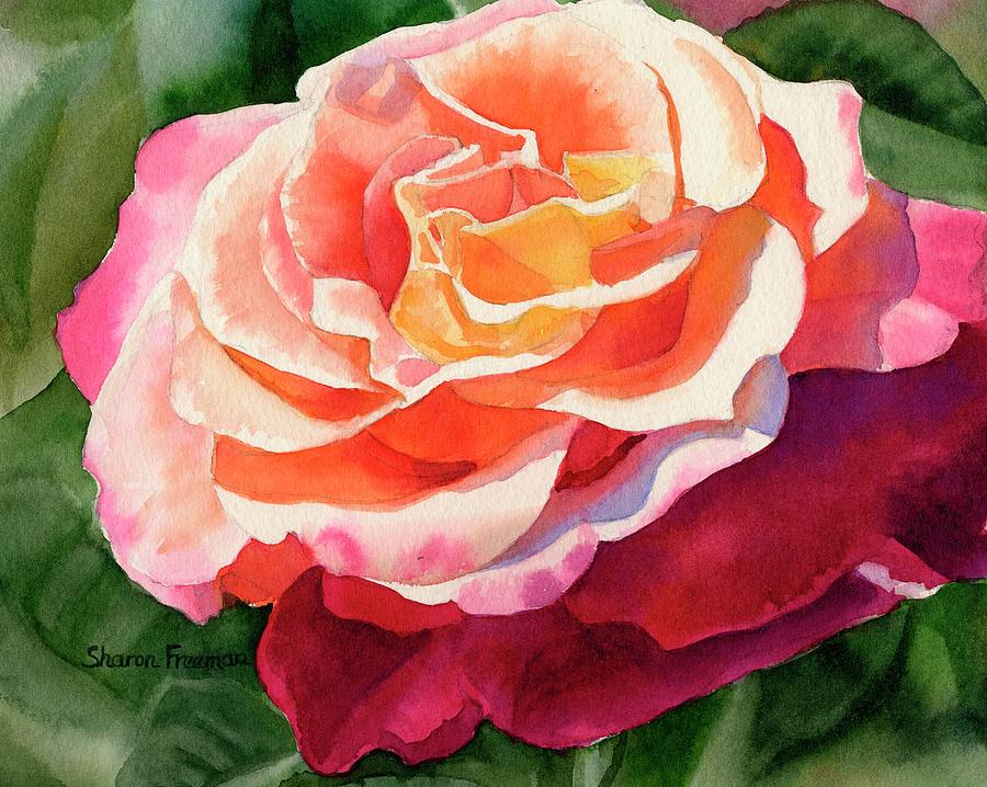 Rose Fringed with Red Petals Painting by Sharon Freeman