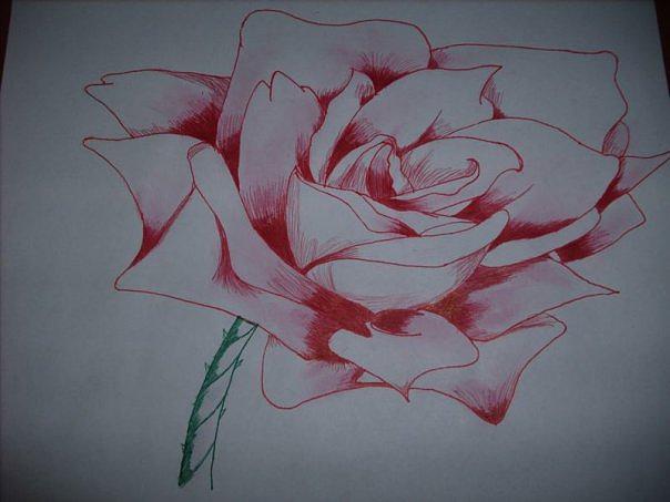 Rose Painting by Gabriel Baez - Fine Art America