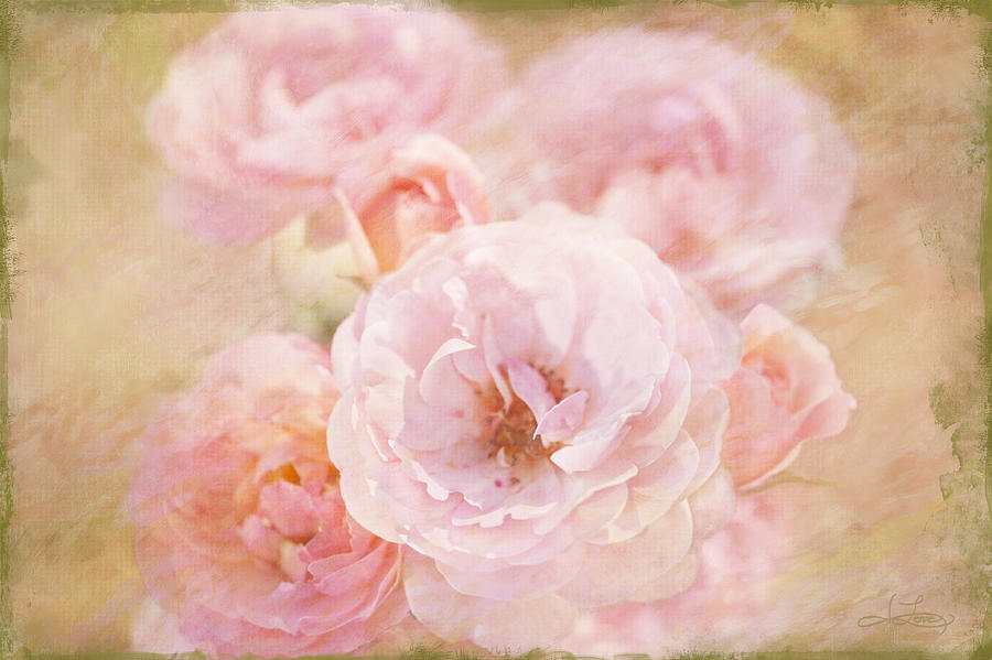 Rose Garden Bouquet Photograph by Jill Love