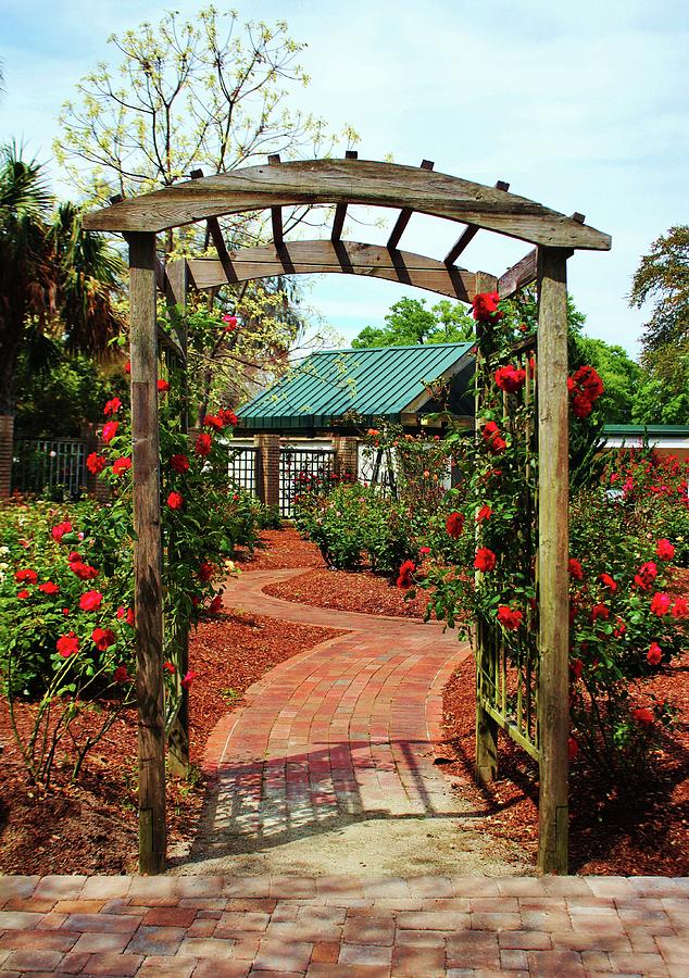 Rose Garden Entrance Photograph by Cynthia Guinn