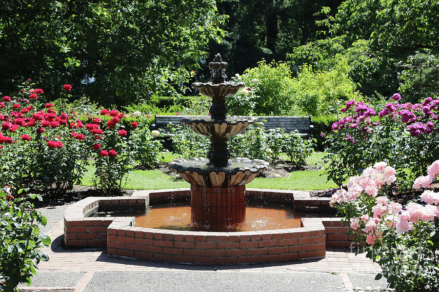 Rose Garden Fountain Photograph by Carol Groenen