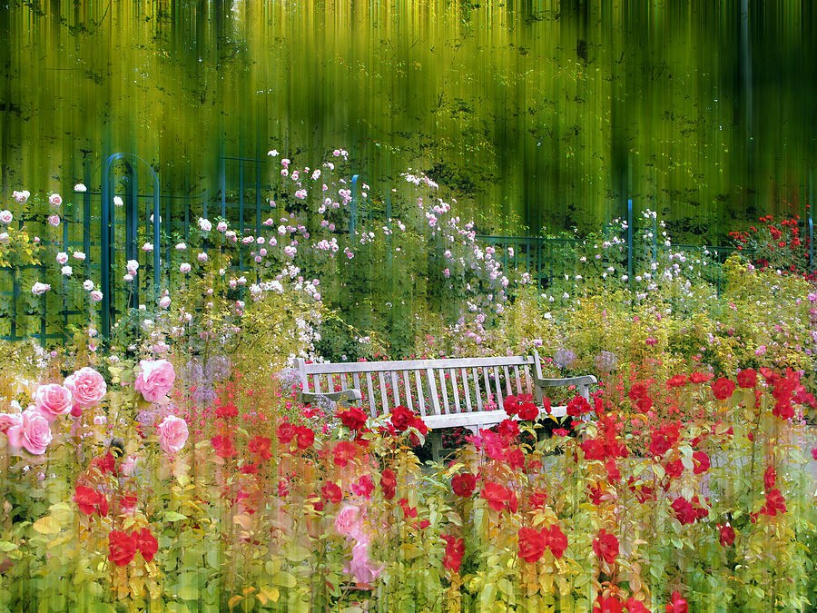 Garden Photograph - Rose Garden Impressions by Jessica Jenney Garden Photograph - Rose Garden Impressions by Jessica Jenney