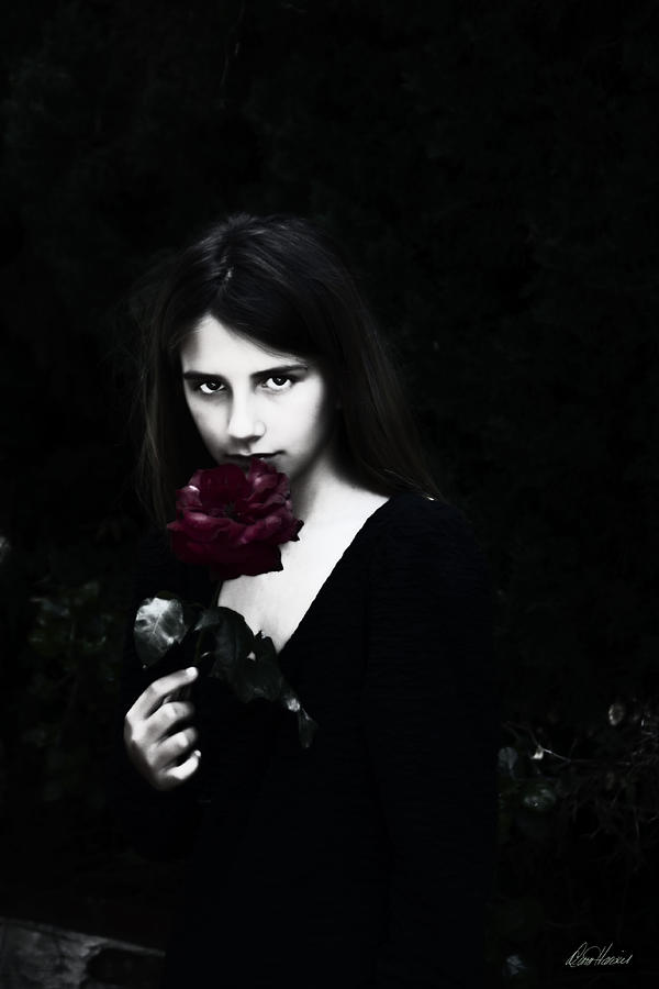 Secret Admirer  #1 Photograph by Diana Haronis