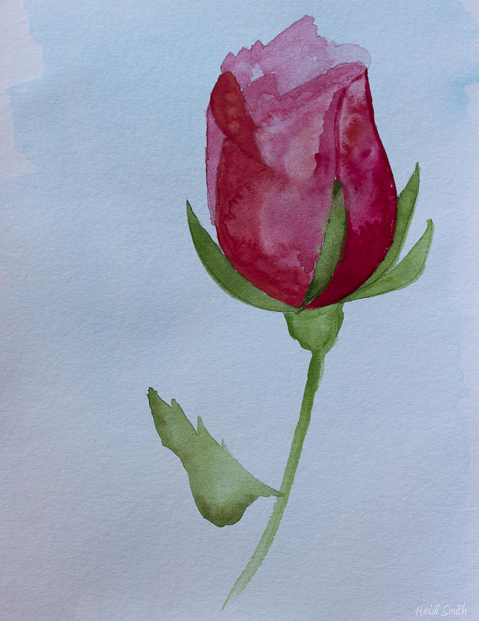 Rose Painting by Heidi Smith