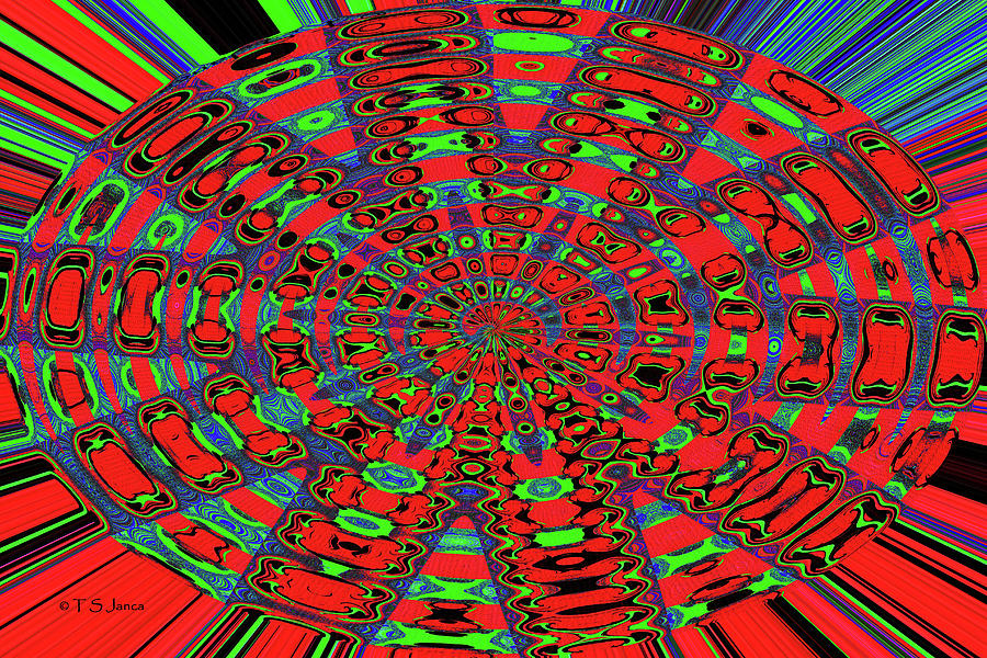 Rose Hip Oval Abstract Digital Art by Tom Janca