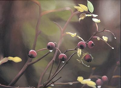Close Up Painting - Rose Hips by Peter Winberg Close Up Painting - Rose Hips by Peter Winberg