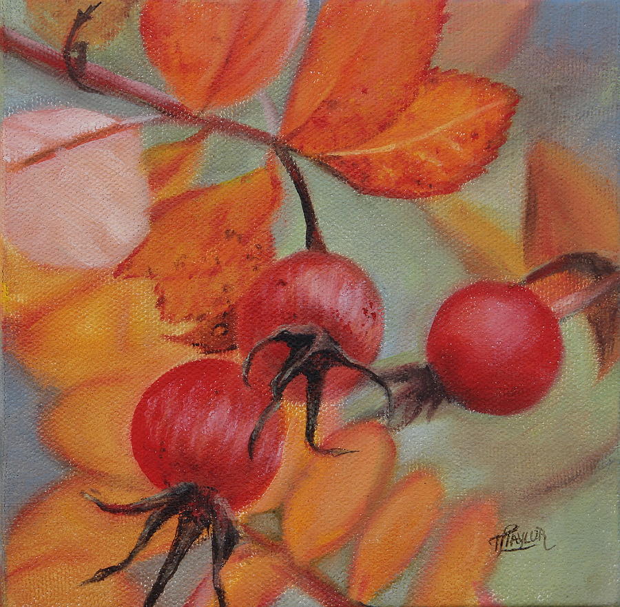 Rose Hips Painting by Tammy Taylor