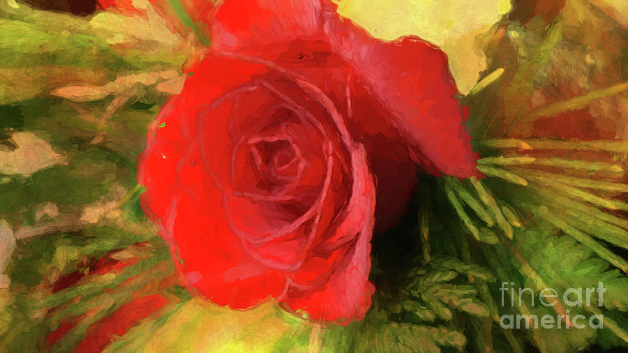 Rose Impression Photograph by Geraldine DeBoer
