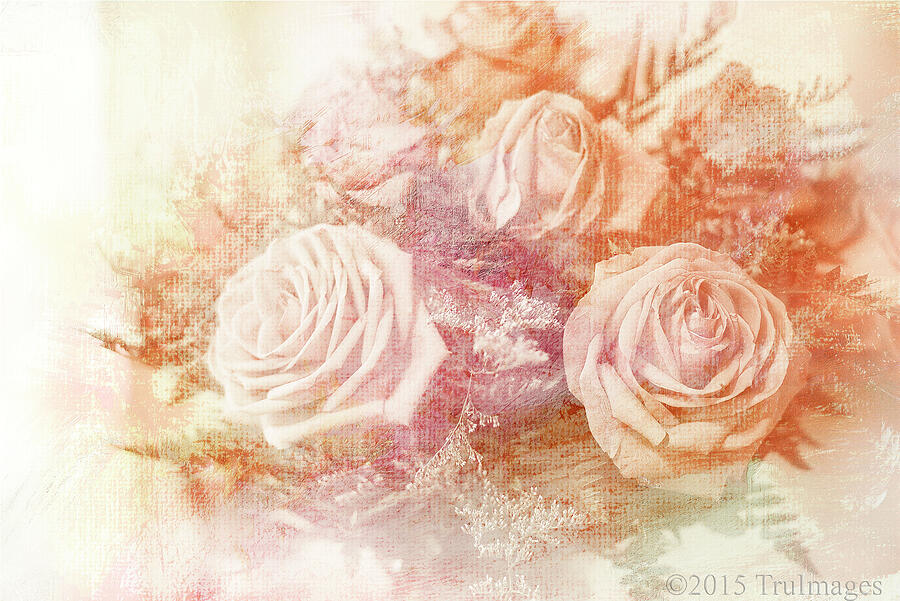 Rose Impressions Photograph by TruImages Photography