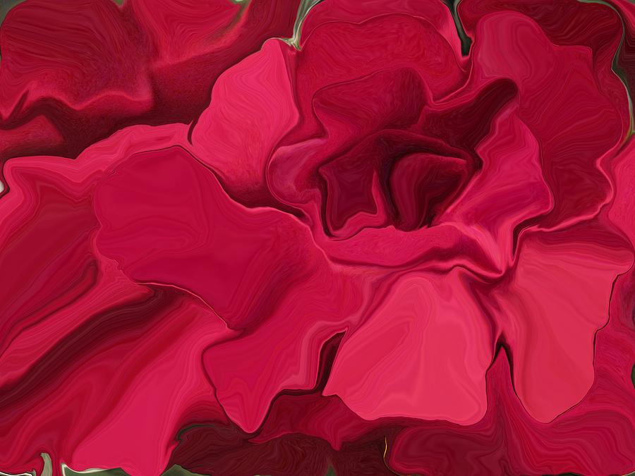 Flower Digital Art - Rose in full bloom by David Raderstorf
