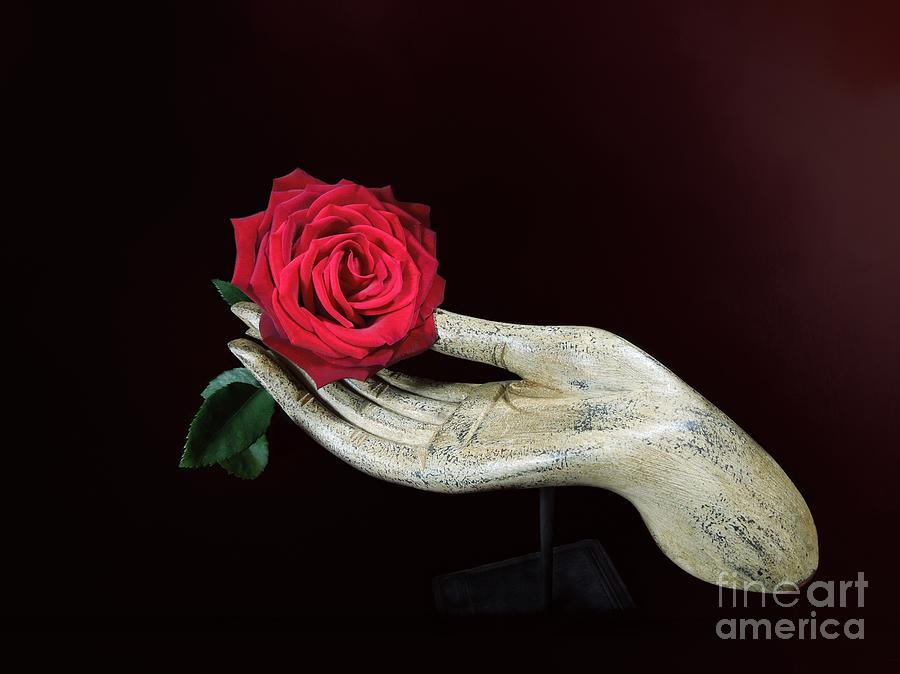 Vintage Photograph - Rose In Hand by Renee Trenholm