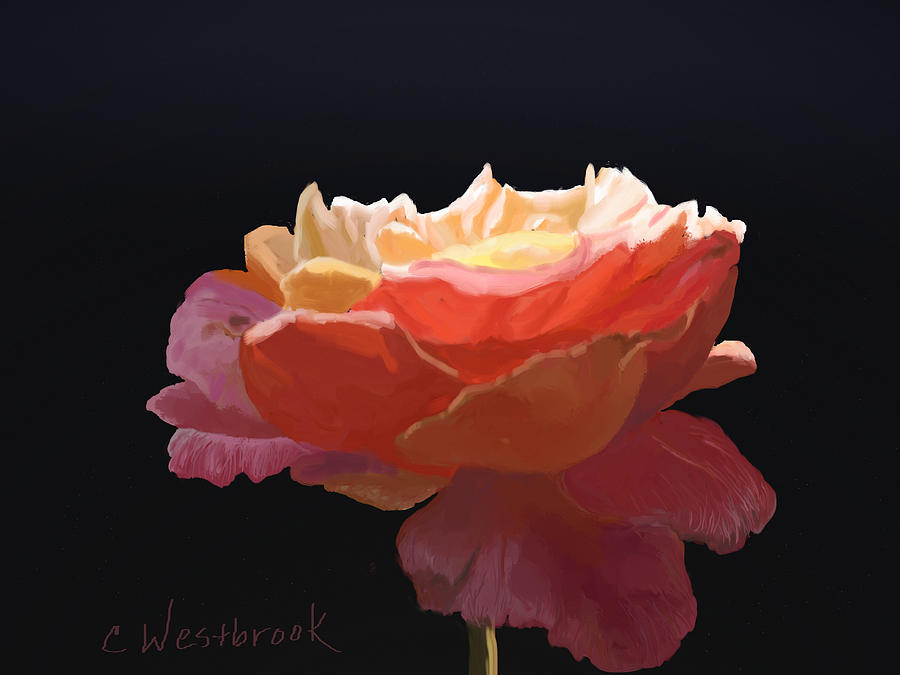 Rose in Light Digital Art by Cynthia Westbrook
