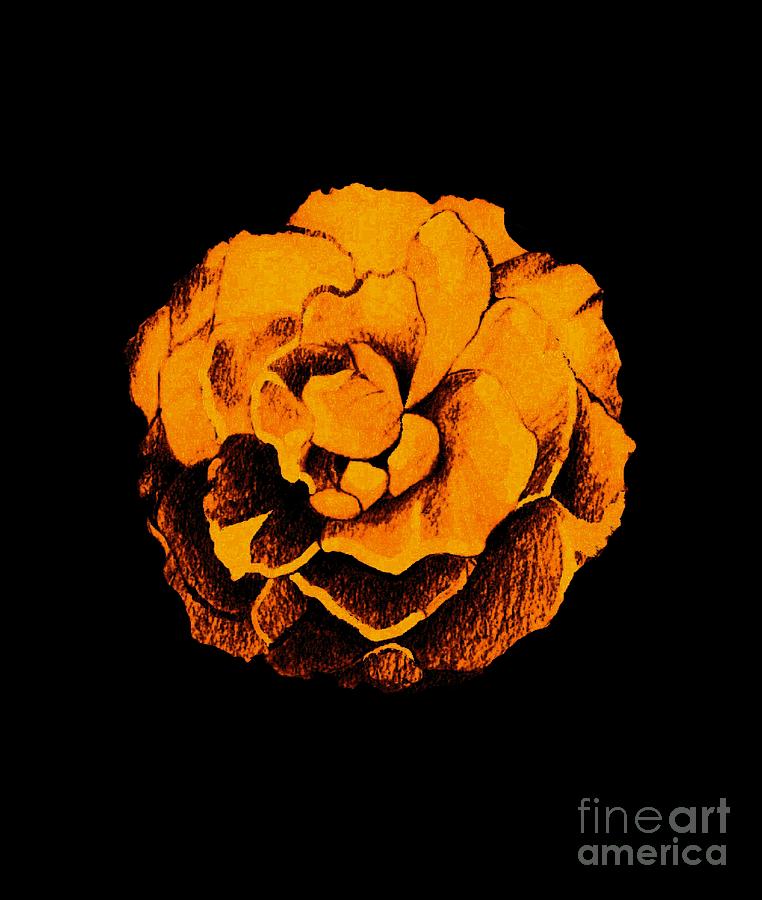 Rose In Orange On Black Digital Art by Helena Tiainen