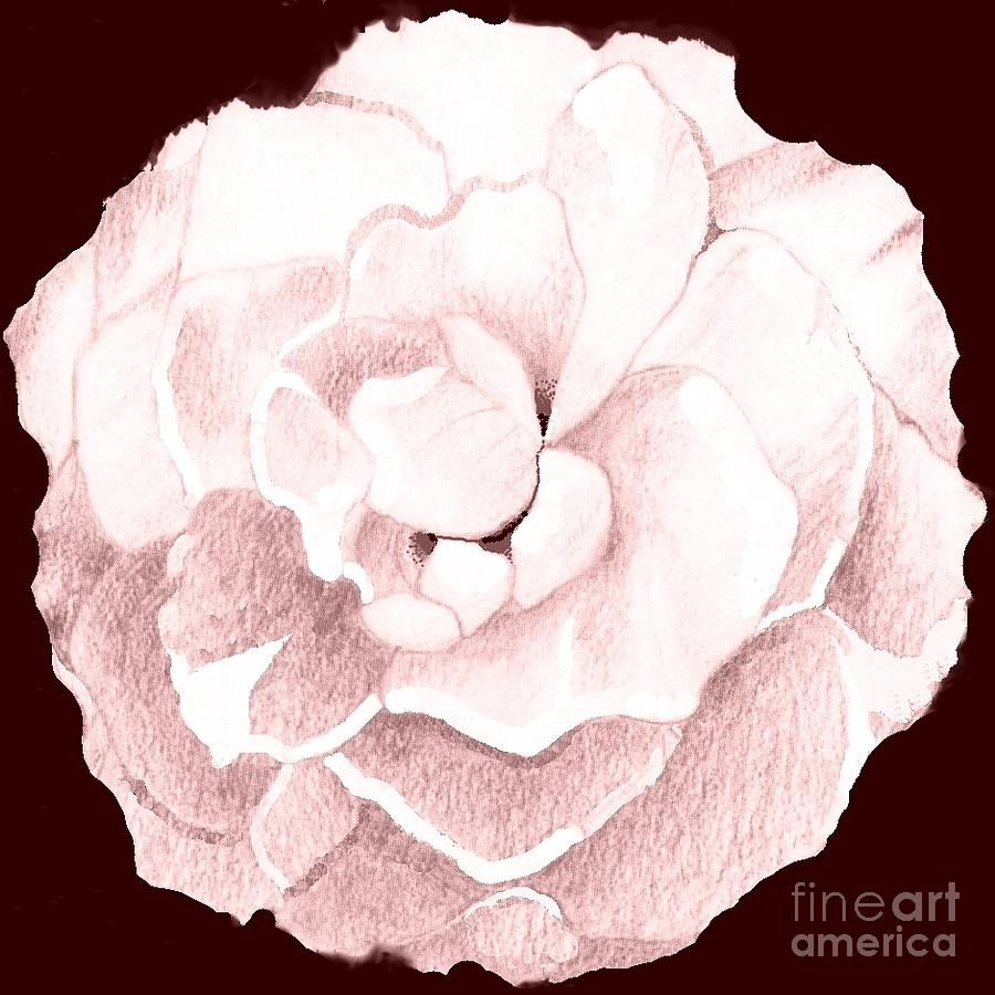 Rose In Pink Digital Art by Helena Tiainen