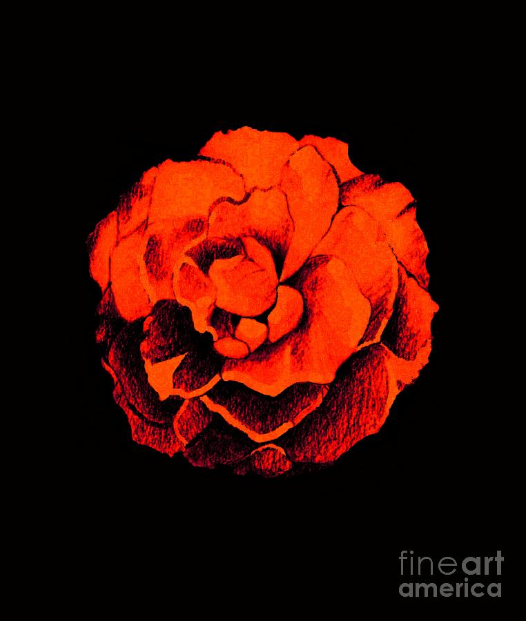 Halloween Digital Art - Rose In Red On Black by Helena Tiainen