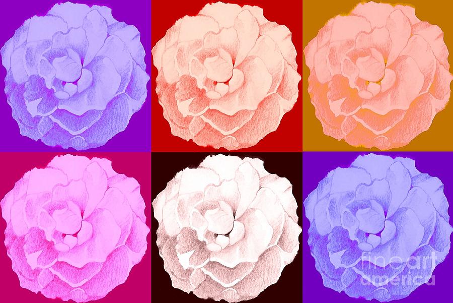 Rose In Six Variations Digital Art by Helena Tiainen