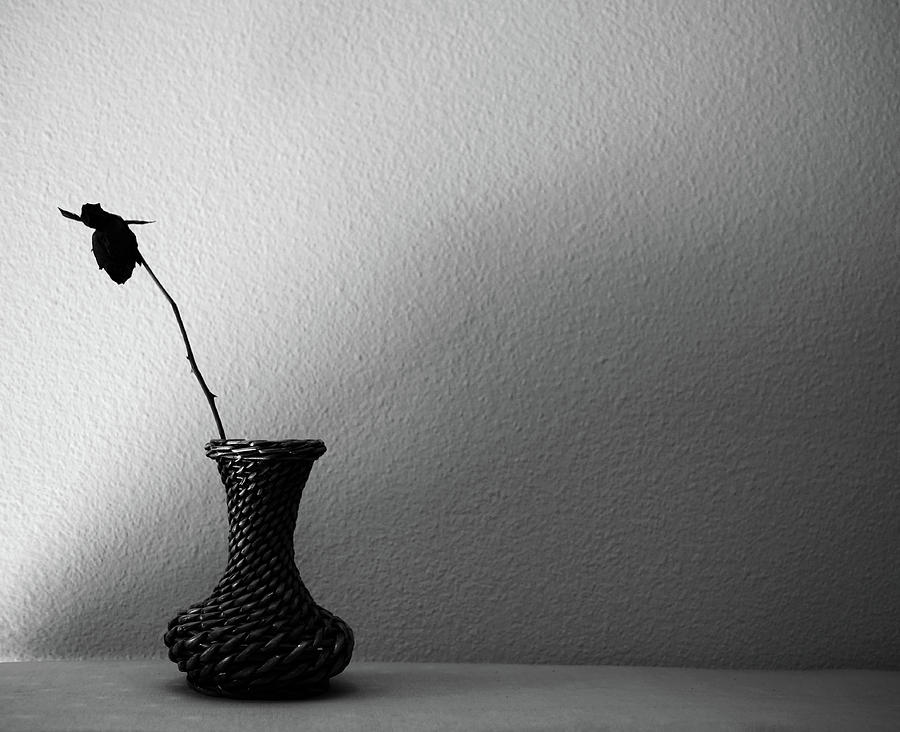 Black And White Photograph - Rose in Vase by Tianxin Zheng