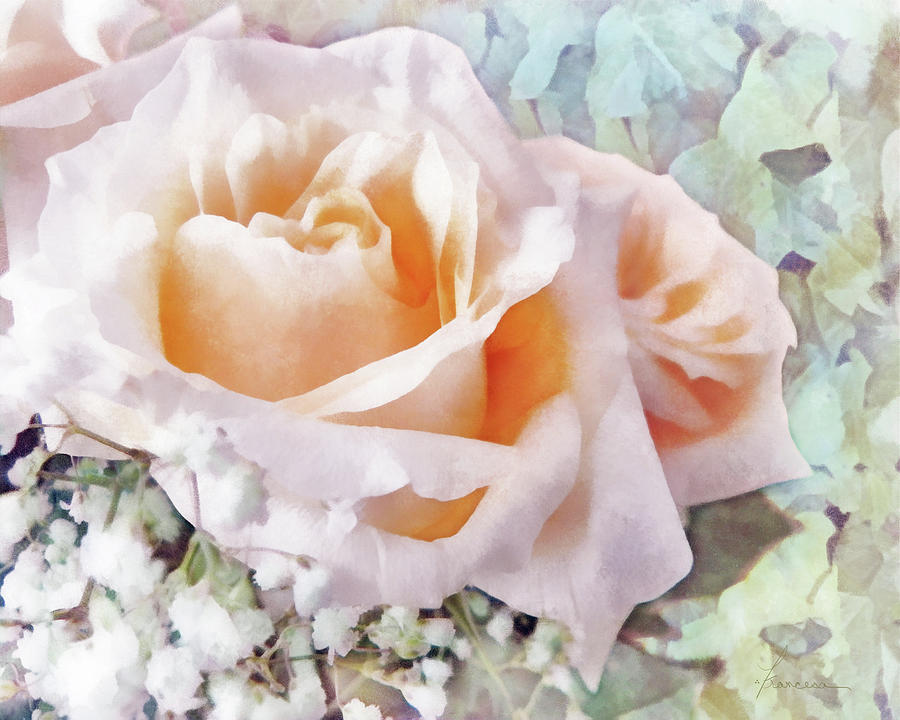 Rose Ivy Digital Art by Frances Miller