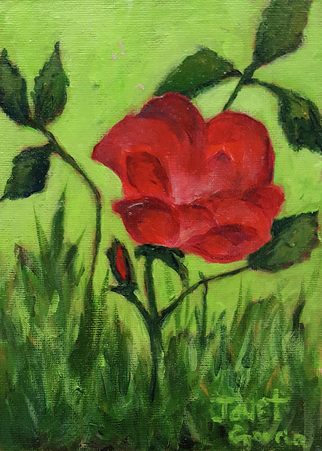 Rose Painting by Janet Garcia