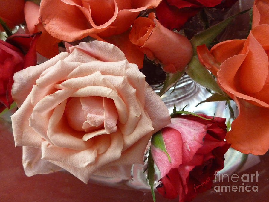 Love Flower Rose Digital Art by Johannes Murat