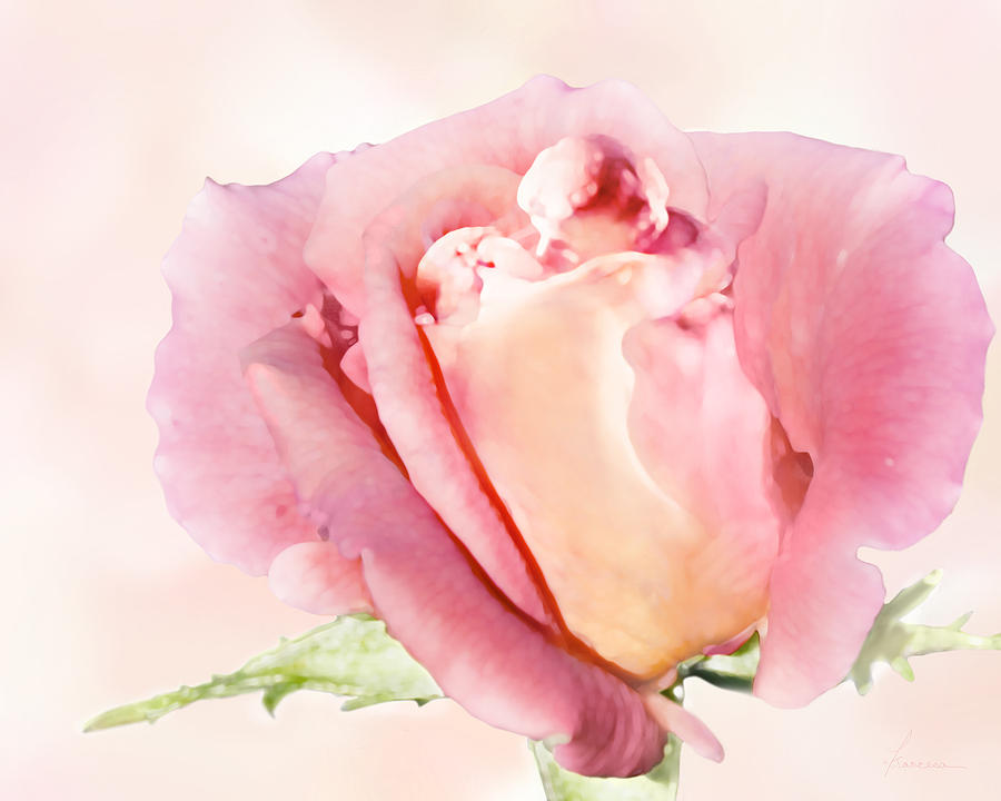 Rose Kiss Digital Art by Frances Miller