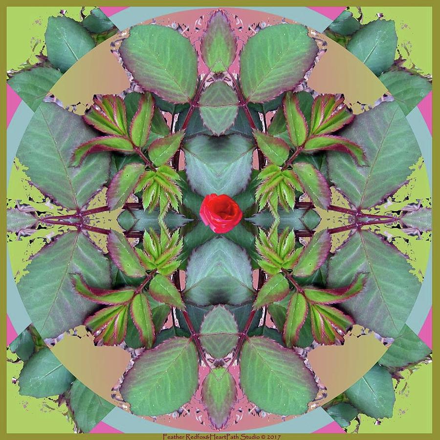 Rose Leaf Mandala Photograph by Feather Redfox