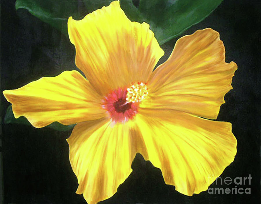 Rose Mallow Painting by Patrick Dablow