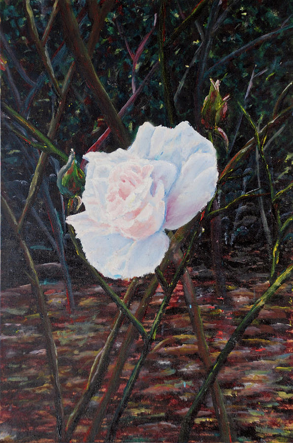 Rose Painting by Medea Ioseliani