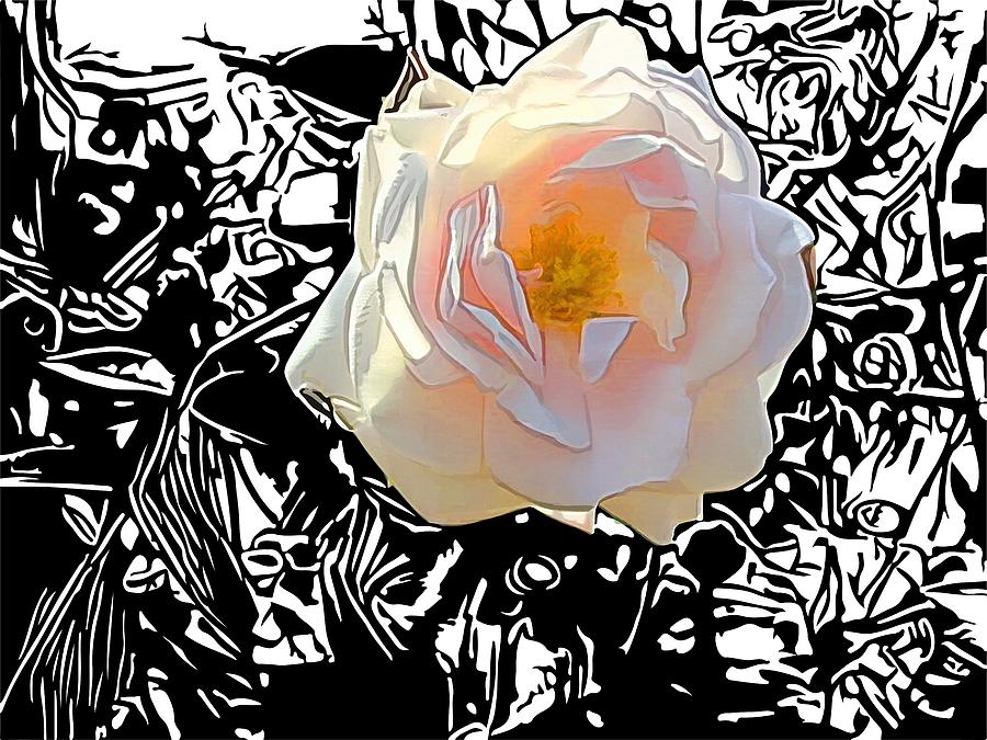 Rose Digital Art by Miroslav Nemecek