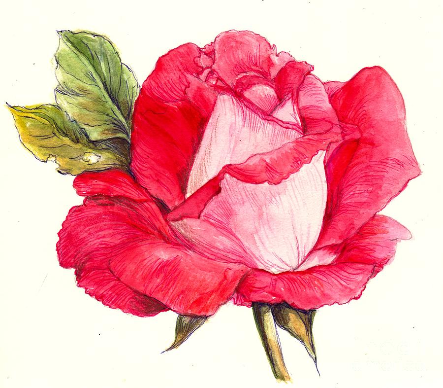Rose Painting by Morgan Fitzsimons