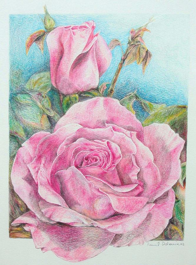 Rose Painting by Muriel Dolemieux