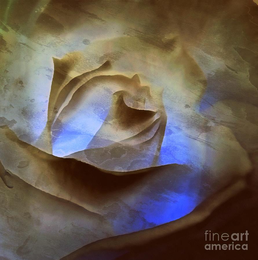 Rose - Night Visions  Mixed Media by Janine Riley