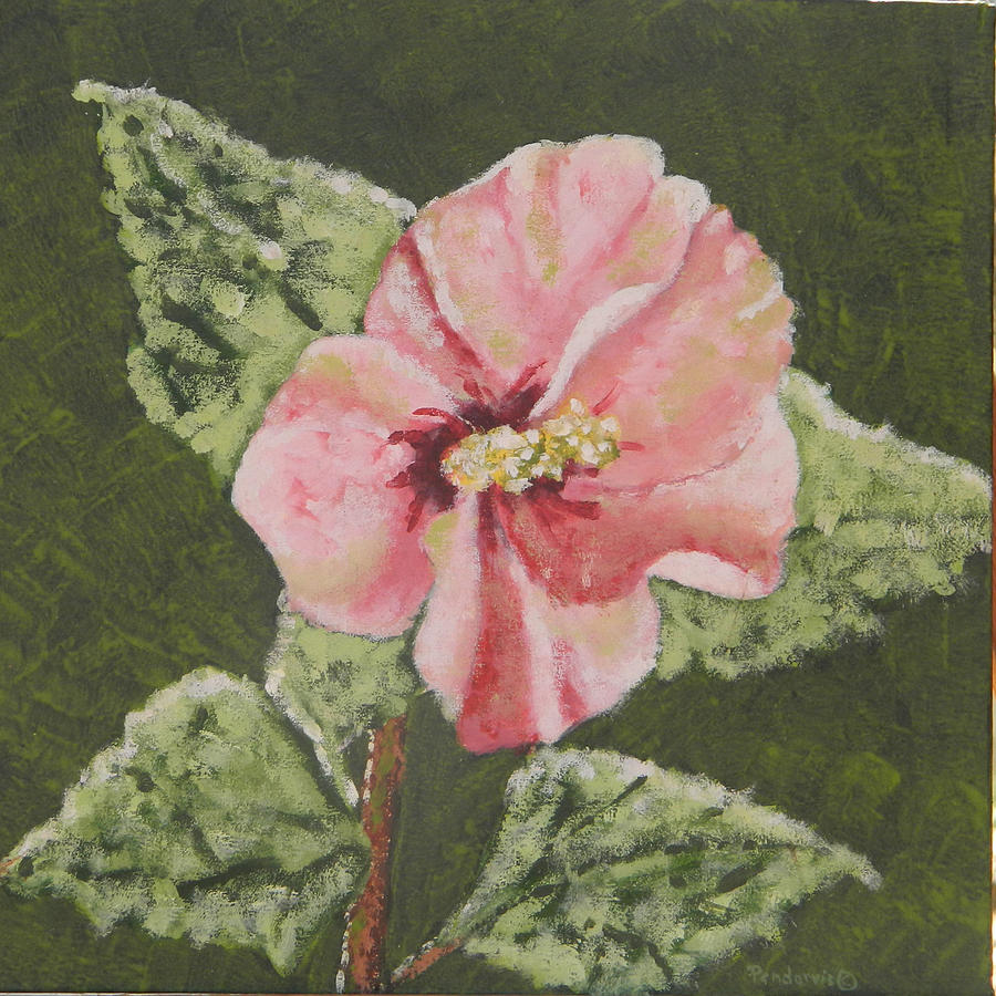 Rose Of Sharon 1 Painting by John Pendarvis