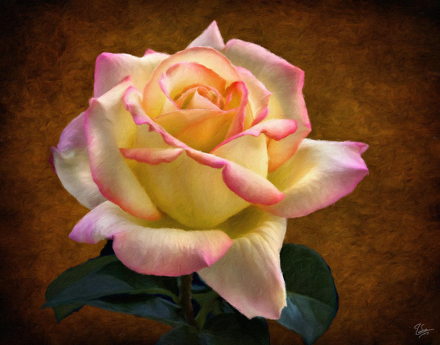 Rose Faux Oil Painting Photograph by Endre Balogh