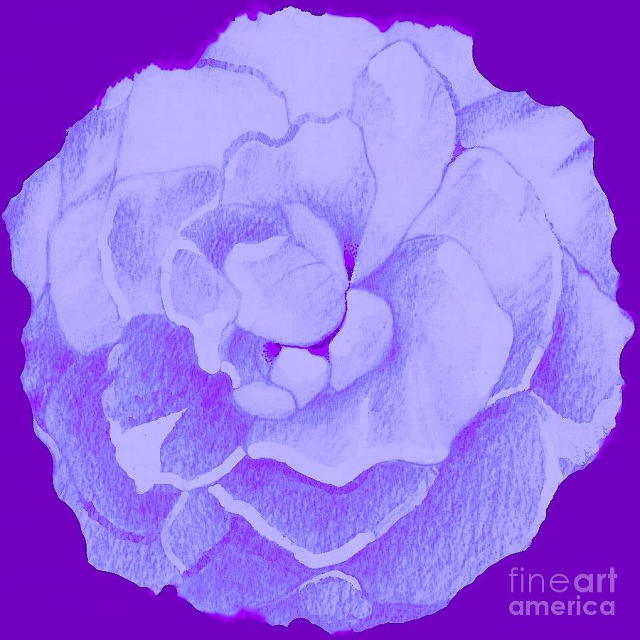 Rose On Purple Digital Art by Helena Tiainen