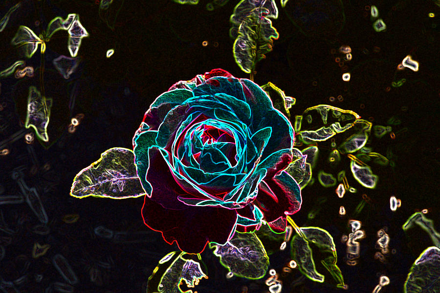 Rose Outline Abstract Photograph by Linda Brody