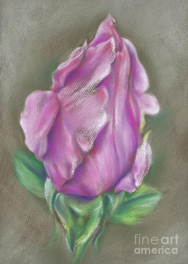 Rose Pink Painting by MM Anderson