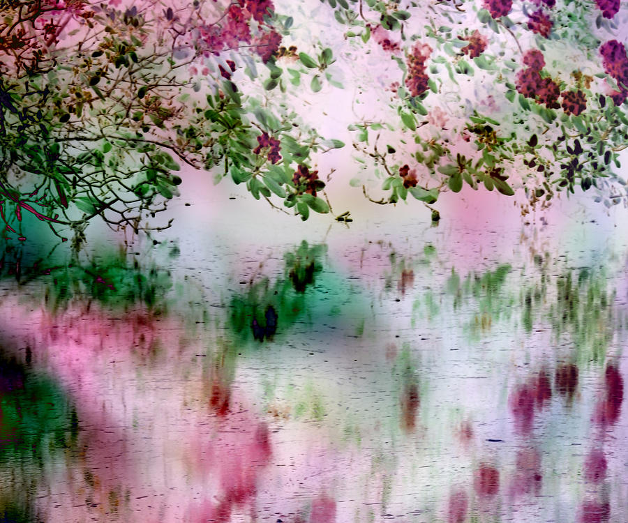 Rose Reflections Digital Art by Michele A Loftus