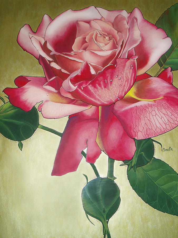 Rose Rose Painting by Vlasta Smola