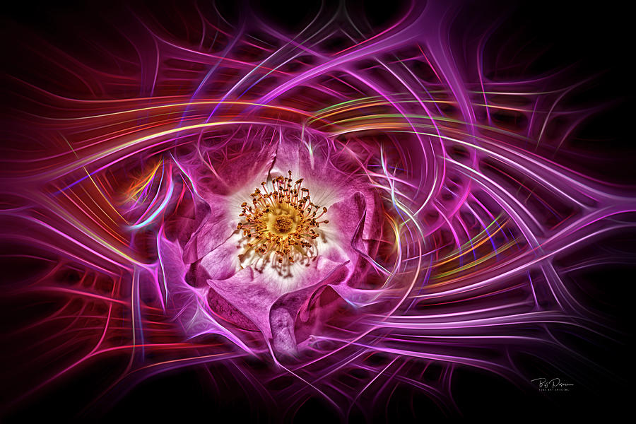 Rose Swirls Digital Art by Bill Posner
