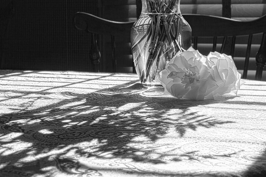 Rose vase in shadows black and white Photograph by Joni Eskridge