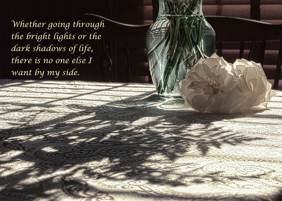 Rose vase in shadows expressions of love - color Photograph by Joni Eskridge
