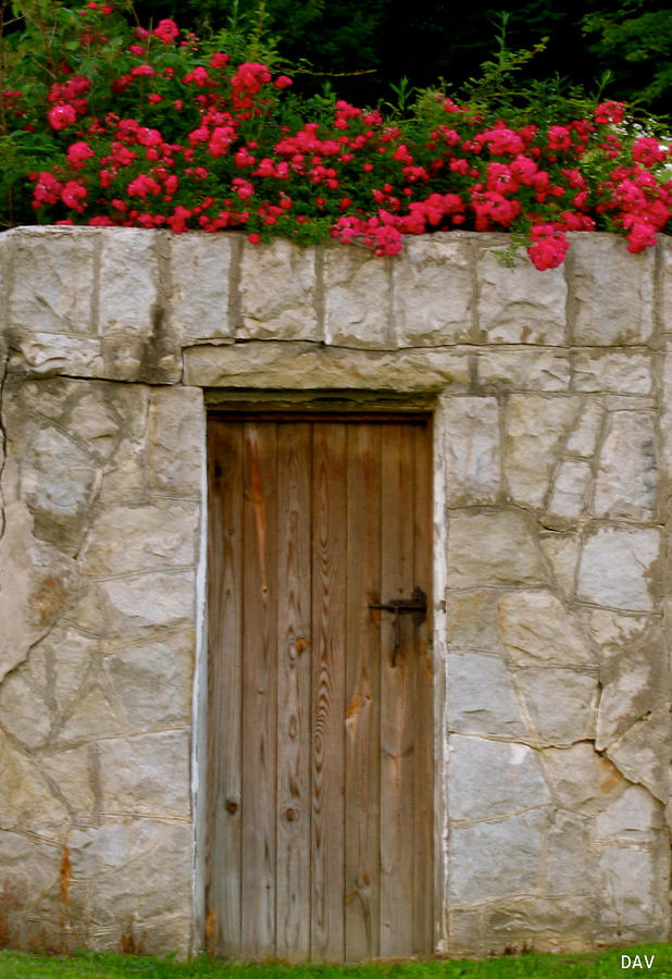 Rose Way Door Photograph by Debra     Vatalaro