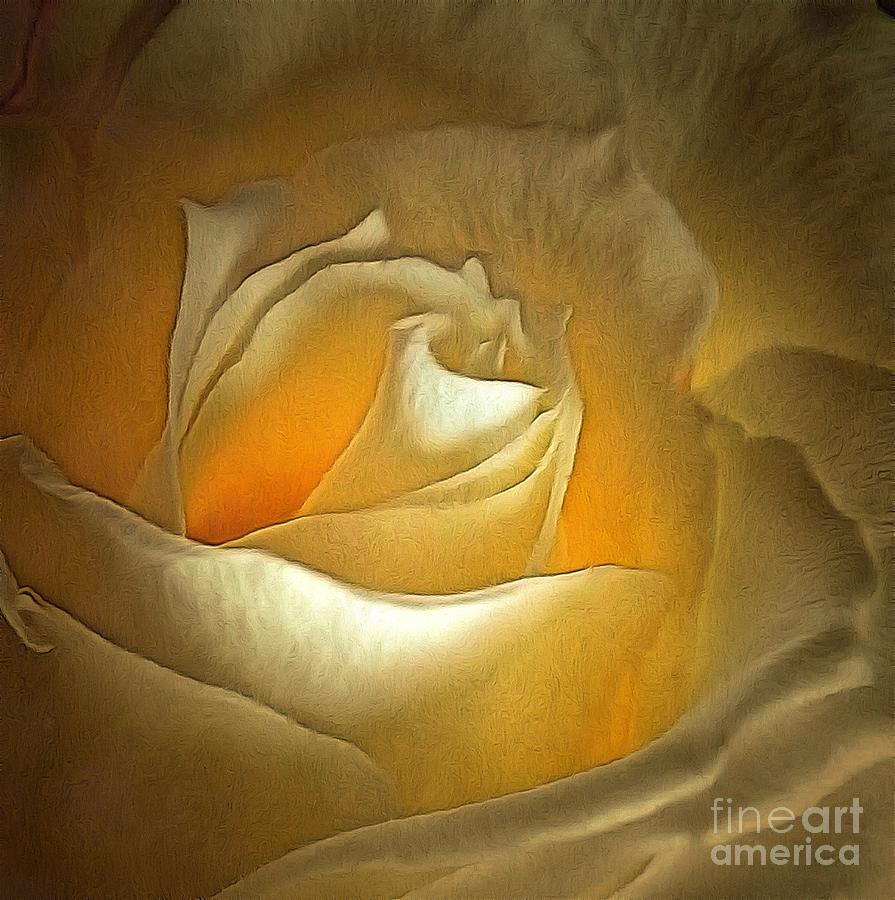 Rose - What lies within Photograph by Janine Riley