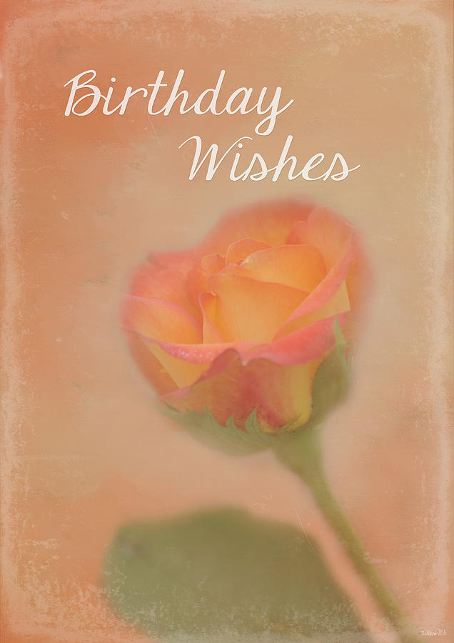 Rose Whispers - Birthday Wishes Photograph by Teresa Wilson